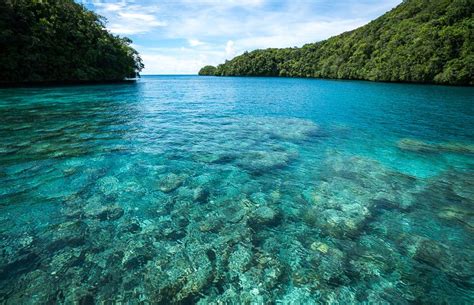 2 Week Itinerary For Visiting Divers Paradise Palau In Micronesia