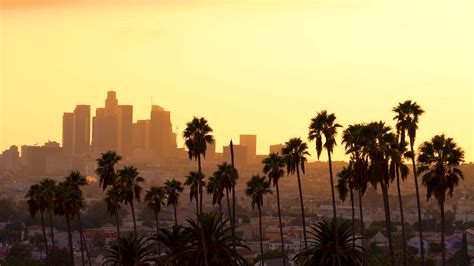 Downtown Los Angeles Cityscape At Sunset With Palm Trees In The