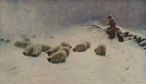 A Shepherd And His Collie Dogs Tending Sheep In Deep Snow A Joyless