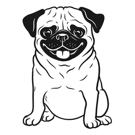 Pug Dog Illustrations Royalty Free Vector Graphics And Clip Art Istock