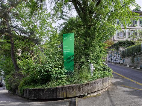 Check spelling or type a new query. Botanischer Garten Bern - Nulleins