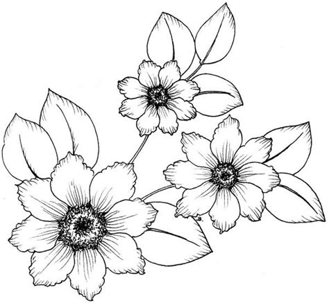 Flores Calcar Dibujos Animados Para Colorear Grafico