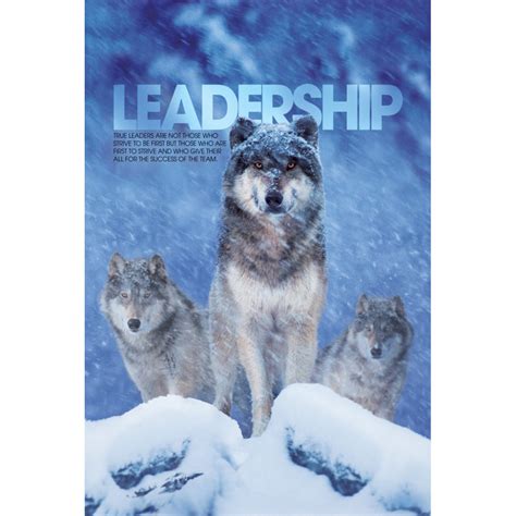 Leadership Wolves Walls 360