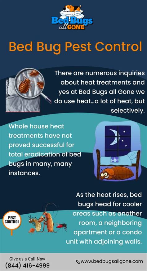 Best Bed Bug Pest Control Service In San Francisco Bay Area Bed Bugs