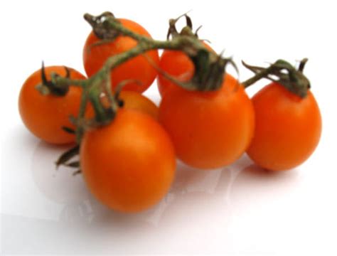 Orange Berry Tomato Glen Seeds