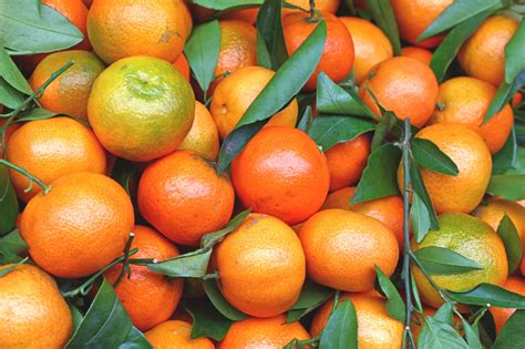 Real Food Encyclopedia Mandarin Oranges Foodprint