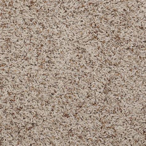 Pin On Shaw Anso Nylon Carpet