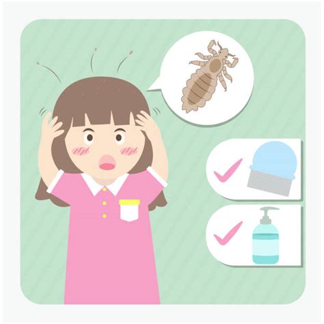 Head Lice Bite Illustrations, Royalty-Free Vector Graphics & Clip Art
