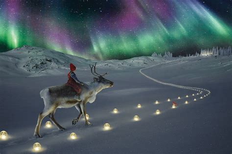 Northern Lights The Christmas Wish