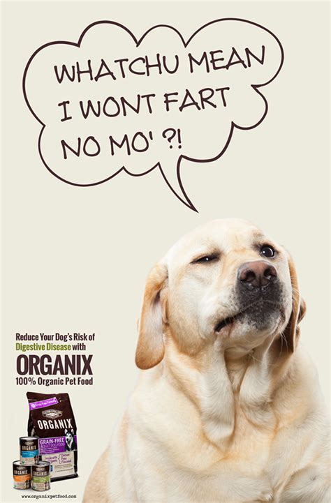 To make 10 lbs of this homemade meal, double the ingredient list (use 2 vitamin packs). ORGANIX Pet Food Ads on Behance