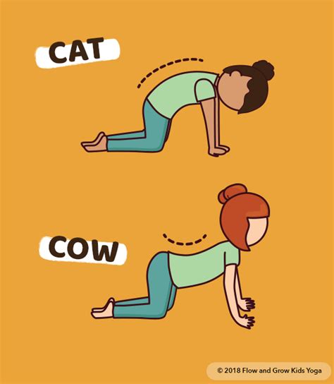 12 Cat Cow Pose Breathing Yoga Poses