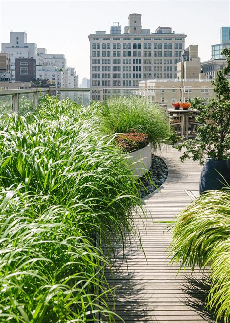 Whether you have a rooftop garden already or you are planning to have one these 11 rooftop garden design ideas and tips will help you in having the most beautiful roof terrace garden. NEW YORK ROOFTOP GARDENS_DE VAIVRE_CDV8079 1920 | Rooftop ...