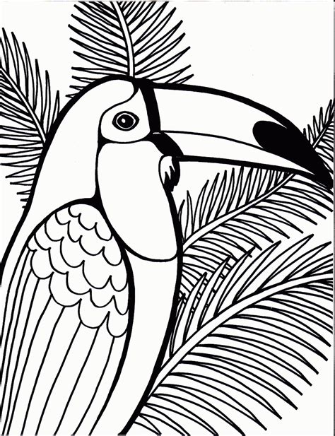 Coloring Now Blog Archive Bird Coloring Pages