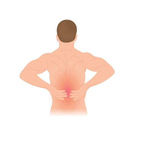 Lumbago And Lower Back Pain Causes Symptoms And Treatment