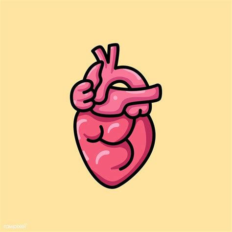 Download Premium Vector Of Pink Human Heart Icon Illustration 439753