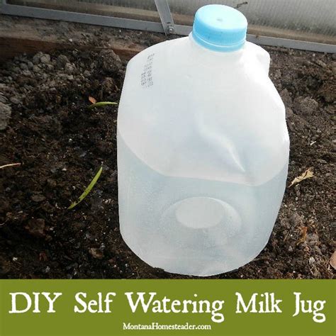 Diy Self Watering Milk Jug Self Watering Milk Jug Diy Garden Projects