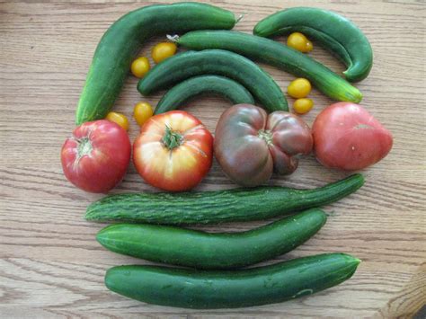 Maybe you would like to learn more about one of these? Cotton Country Kitchen: Cucumbers, Climbing Squash Plants ...