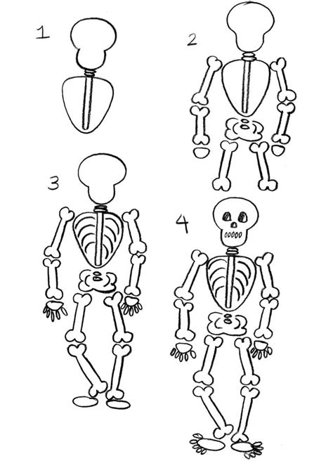 Drawing skeleton easy realistic head and step by step this time we will consider a halloween version that will show you how to draw a human skeleton skeletons consist only of bones and they lack all human organs we will draw space under the eyes nose and smiling mouth how to draw a skeleton. how to draw halloween | Halloween doodle, Skeleton ...