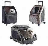 Pictures of Travel Carriers For Dogs Airline Approved