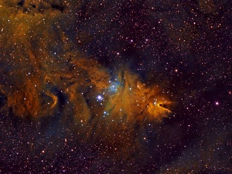 Ngc2264 Y Fox Fur Nebula Narrowband Nebulosas Curso De Astronomia
