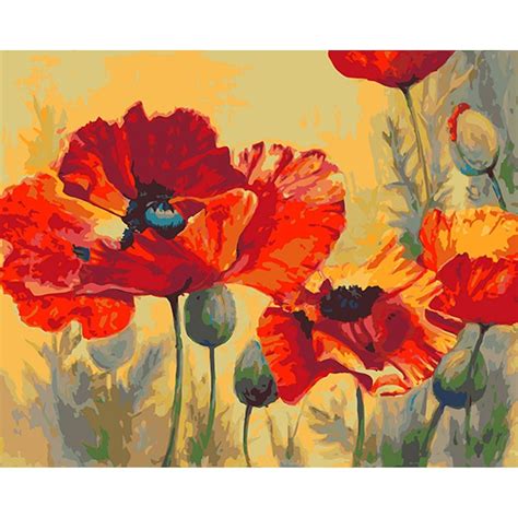 Diamond Painting Field Poppies Stretched Canvas Extra Large Paint By