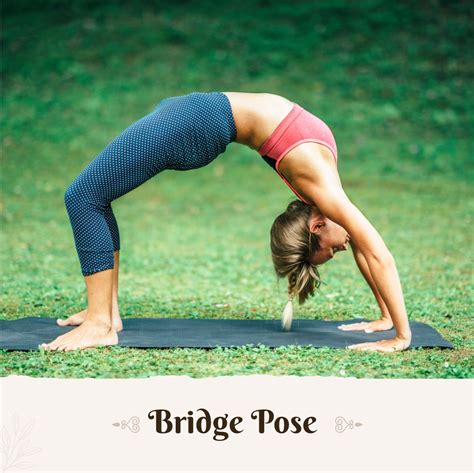 What Are The 12 Basic Yoga Poses For Beginners