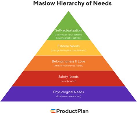 Ultimate Guide To Levels Of Maslow S Hierarchy Of N Vrogue Co