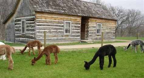 Zillow has 0 homes for sale in galena il matching log cabin. Alpacas in Galena | Log cabin getaways, Getaway cabins ...