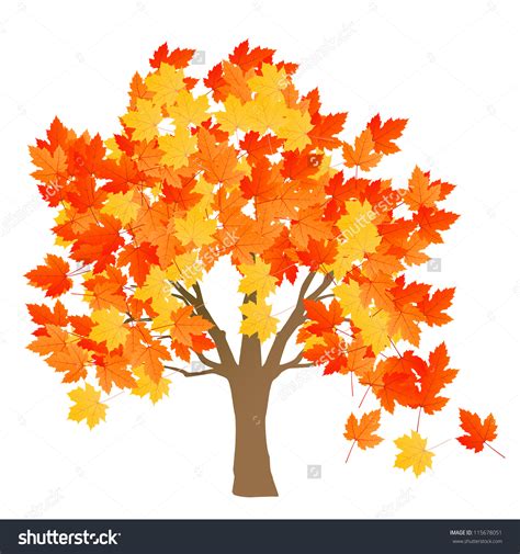 Clipart Maple Tree With Falling Seeds Clipground