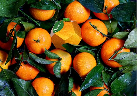 Zumox Orange Juice Packaging Student Project On Behance