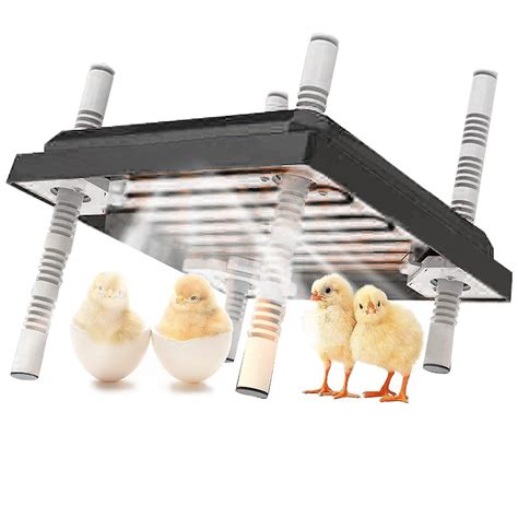 Chick Brooder Heating Plateadjustable Height And Angle Chick Brooder