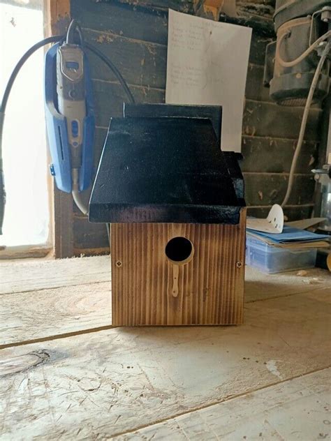 Quirky Bird House Nesting Box Reclaimedfree Post In East Kilbride