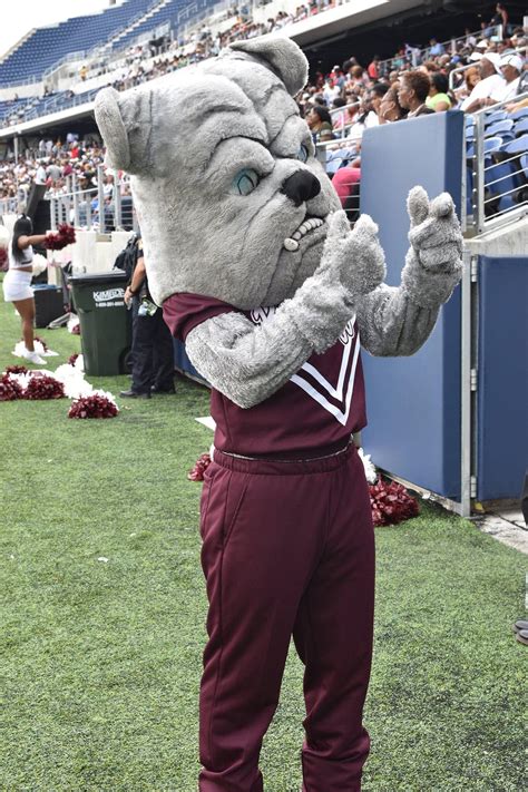 Happy National Mascot Day To Our Alabama Aandm University Facebook