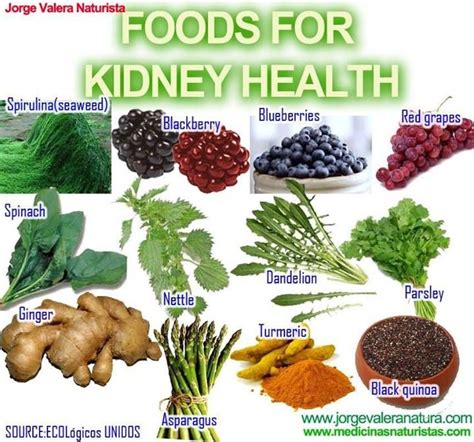 23 Best Foods For A Healthy Kidney That Everyone Should Eat Food For