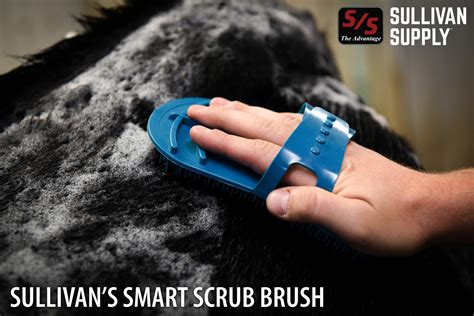 sullivan s smart scrub brush the pulse