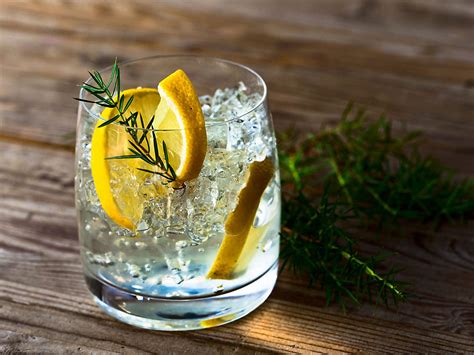 Interesting Uses And Benefits Of Gin That Will Surprise You The Times Of India