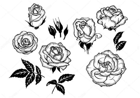 1 foto + testo personale. Fiori e foglie di rosa — Vettoriali Stock © Minyanna #100460116