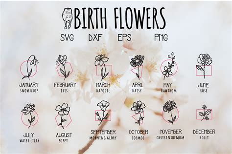 Birth Flower Hand Drawn Svg (Graphic) by dadan_pm · Creative Fabrica