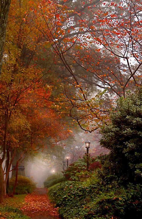 Chasingrainbowsforever Autumn Mist Simply I