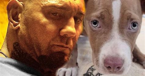 Dave Bautista Adopts Abused Puppy Offers Reward To Find Former Owners