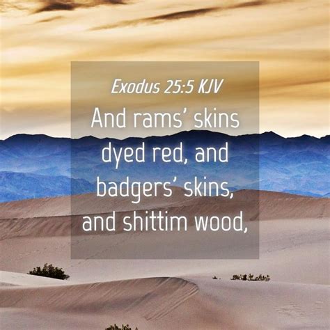 Exodus 255 Kjv And Rams Skins Dyed Red And Badgers Skins And