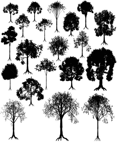 Tree Silhouettes Woodland Collection Nature Vector Woodland