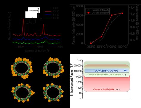 A Raman Sers Spectra Acquired For Different Kind Of Liposomes Dspc