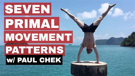 Seven Primal Use These To Create Workouts Movement Patterns W Paul