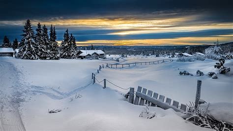 Winter Forest Snow The Fence Norway Lillehammer Hd Wallpaper