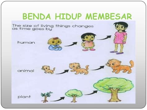 Benda Hidup