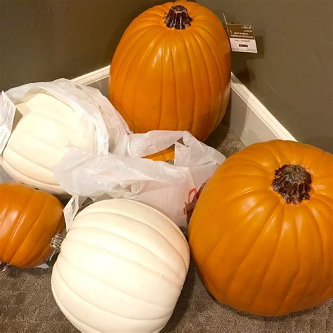 6 Craft Pumpkin Ideas For Fall Pumpkin Pumpkin Crafts Craft Pumpkins