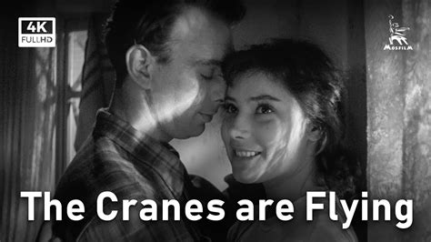 The Cranes Are Flying Drama Full Movie Youtube