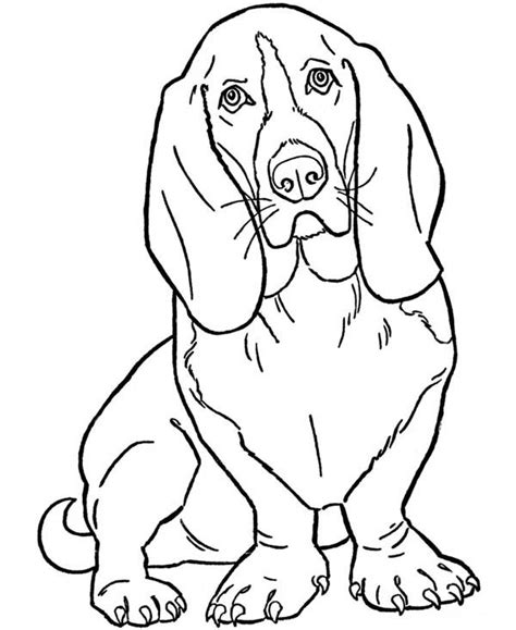 Slinky Dog Cute Animal For Pet Coloring Page Coloring Sky