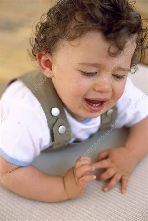 Crying Baby Boy Stock Image F0011724 Science Photo
